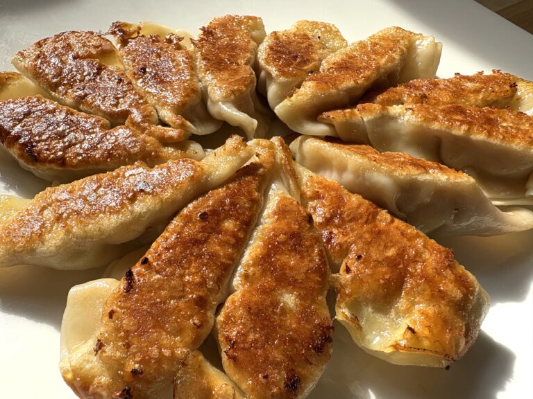 Month 2Main DishLOCKEDGyoza